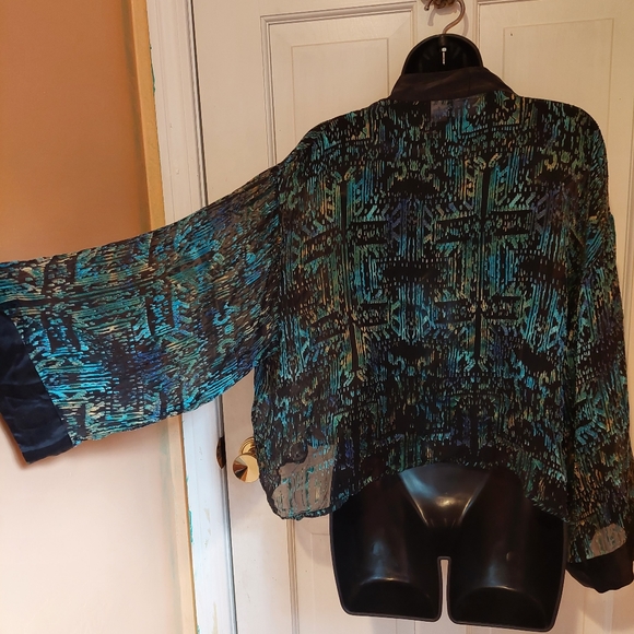 Sheer button down - Picture 4 of 6